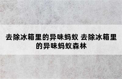 去除冰箱里的异味蚂蚁 去除冰箱里的异味蚂蚁森林